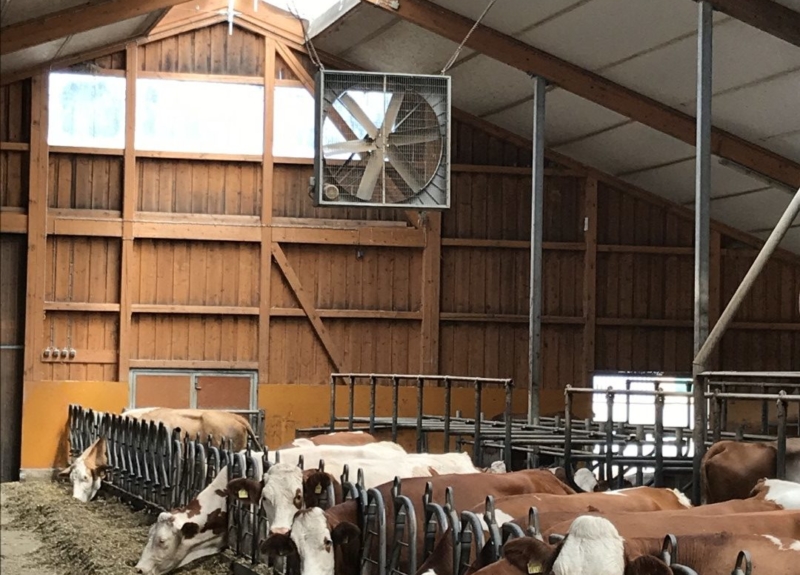 Wittenzellner-Patersdorf-Klimatechnik-3