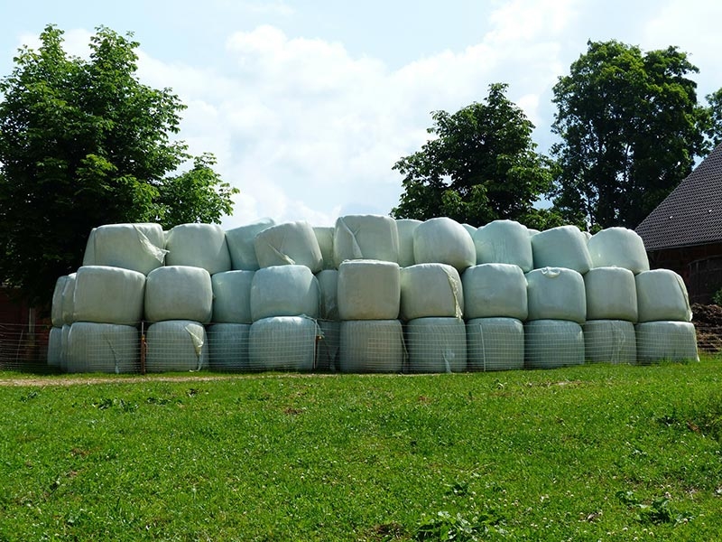 Wittenzellner-Patersdorf-Silage-03-1