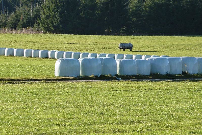 Wittenzellner-Patersdorf-Silage-04-1