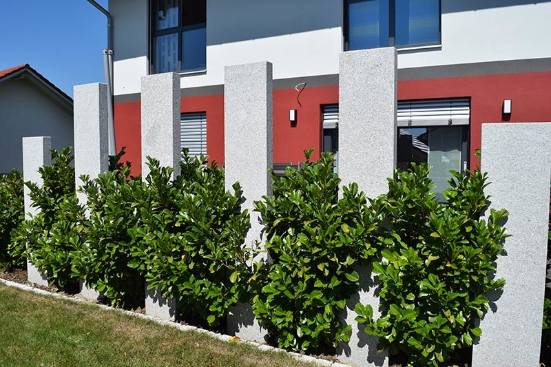 Wittenzellner-Patersdorf-Zaeune-Sichtschutz-01-1