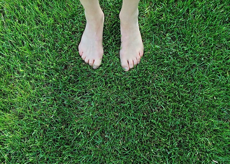 Wittenzellner-Patersdorf-Zierkiese-Rasen-10-1