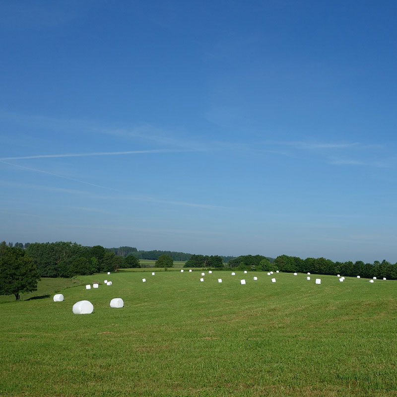 Silage